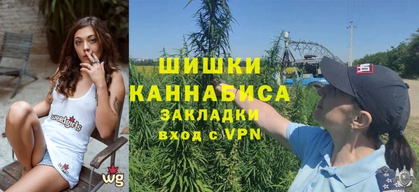 PSILOCYBIN Арсеньев